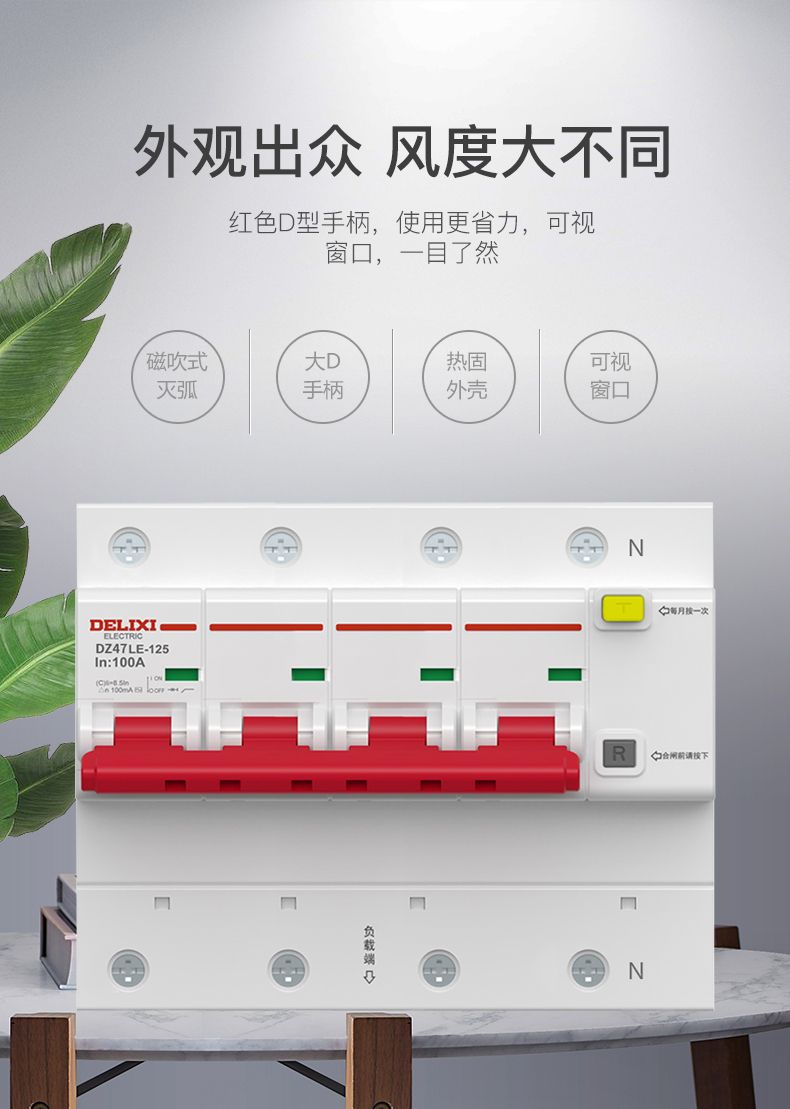 德力西大功率漏電開關(guān)DZ47LE 2P-100A/125A D型漏電斷路器 兩相大功率漏電保護(hù)器 2極漏電開關(guān)